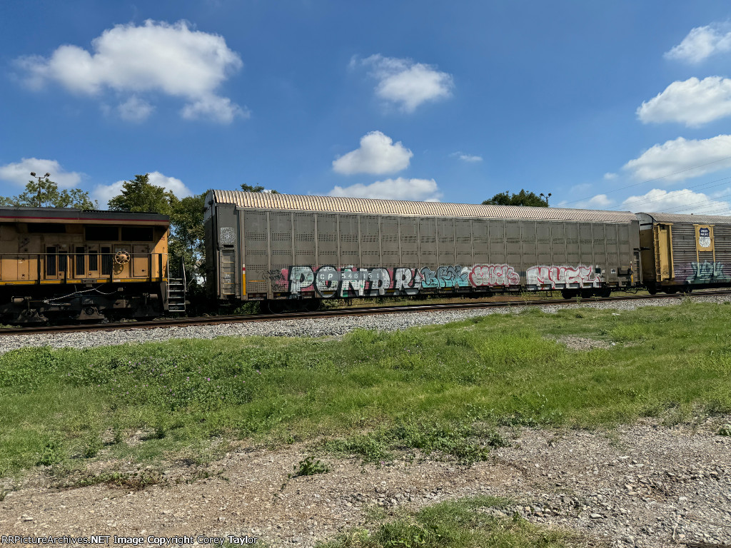 CP 546151